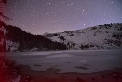 DSC_5979 (Large).JPG